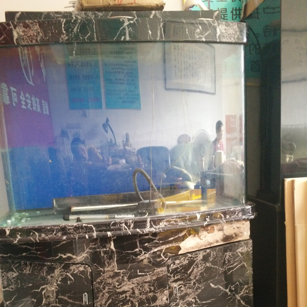 鋼琴、魚缸專運(yùn)現(xiàn)場